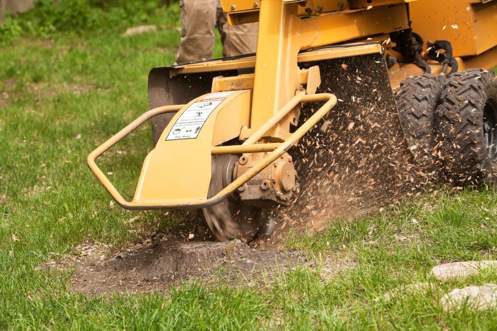 Stump Removal