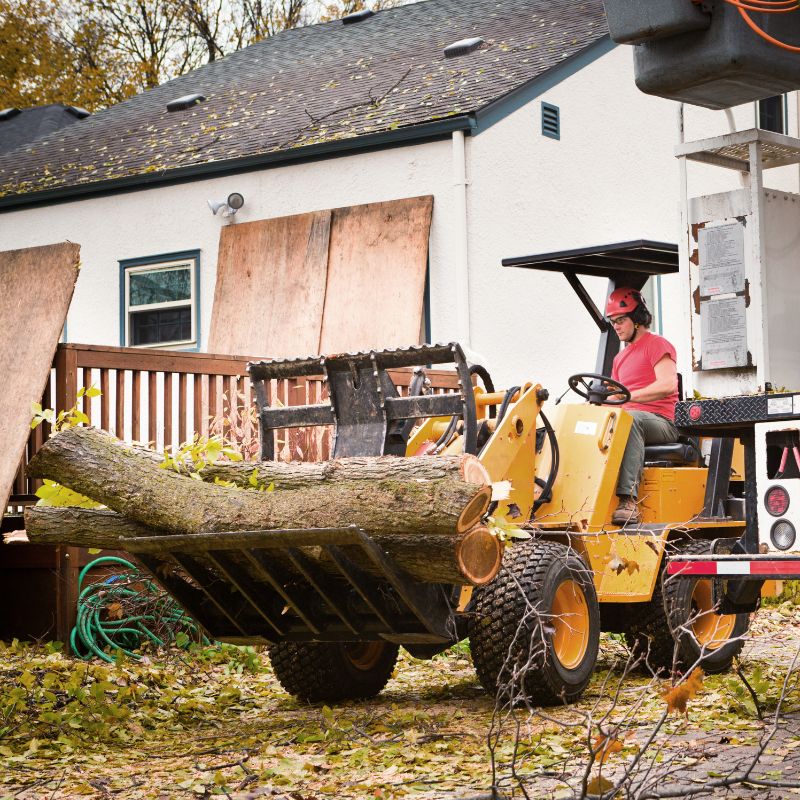 lot clearing